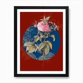 Vintage Botanical Pink Agatha Rose on Circle Blue on Red n.0103 Art Print