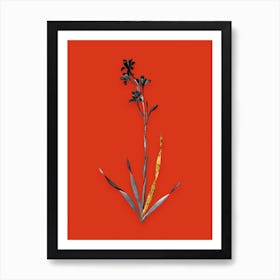 Vintage Bugle Lily Black and White Gold Leaf Floral Art on Tomato Red n.1040 Art Print