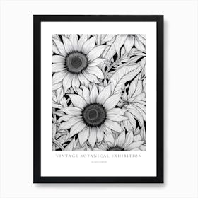 Sunflower B&W Vintage Botanical Poster Art Print