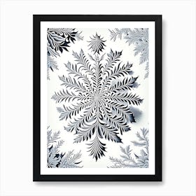 Pattern, Snowflakes, Vintage Botanical Illustration 1 Art Print