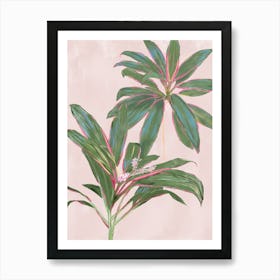 Pink And Green Plant Tropical Pink Diamond Cordylines Art Print