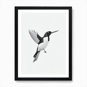 Magpie B&W Pencil Drawing 4 Bird Art Print