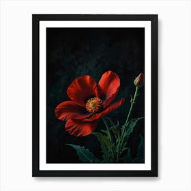 Red Poppy Flower Art Print