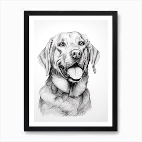 Labrador Retriever Dog, Line Drawing 2 Art Print