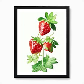 June Bearing Strawberries, Plant, Marker Art Illustration 1 Art Print