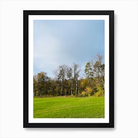 Bare Trees In A Field Art Print