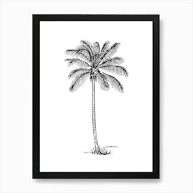 Palm Tree 6 Art Print