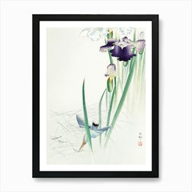 Kingfisher And Irises (1900 1930), Ohara Koson Art Print