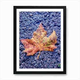 Autumn Leaf 20180809 14ppub Art Print