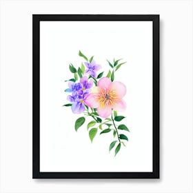 Jasmine Watercolour Flower Art Print