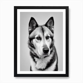 Norwegian Buhund B&W Pencil Dog Art Print