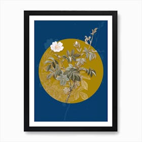 Vintage Botanical White Downy Rose on Circle Yellow on Blue Art Print