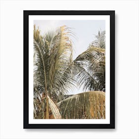 Palmtree Leaves Bali Art Print