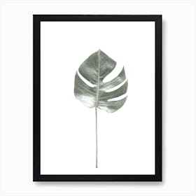 Tropical Monstera Leaf Art Print