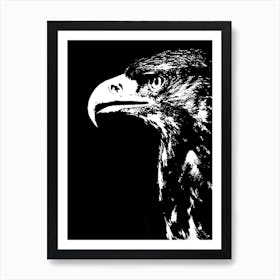 Golden Eagle Black and White Portrait Art Print