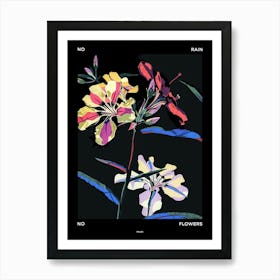 No Rain No Flowers Poster Phlox 4 Art Print