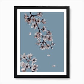 Sakura Art Print