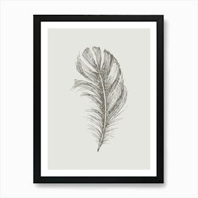 Grey Feather Print 3 Art Print