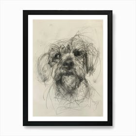 Dandie Dinmont Terrier Dog Charcoal Line 1 Art Print