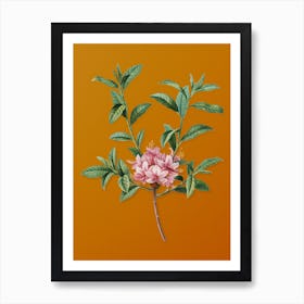 Vintage Azalea Botanical on Sunset Orange n.0603 Art Print