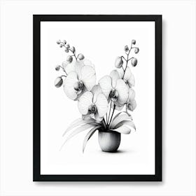 Orchids In A Vase Detailed In Black And WHITE Art Print