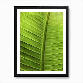 Tropical Leaf Art Print