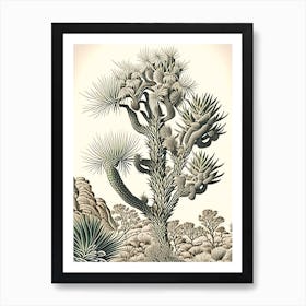 Joshua Tree Pattern Vintage Botanical Line Drawing  (2) Art Print