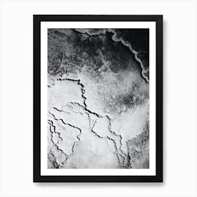 Yellowstone National Park Macro Shot in Black and White Art Print