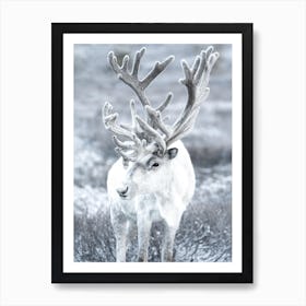 White Reindeer Art Print
