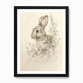 Havana Rabbit Drawing 4 Art Print