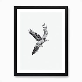 Golden Eagle B&W Pencil Drawing 4 Bird Art Print