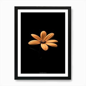 Flower On A Black Background 4 Art Print