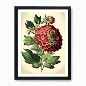 Zinnia Wildflower Vintage Botanical 1 Art Print