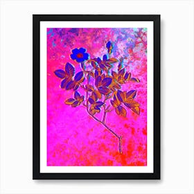 Rosebush Botanical in Acid Neon Pink Green and Blue n.0067 Art Print