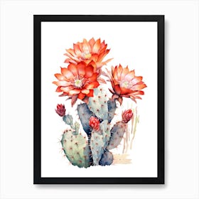 Stenocactus Cactus Watercolour Drawing 3 Art Print