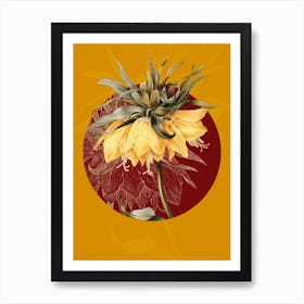 Vintage Botanical Kaiser's Crown on Circle Red on Yellow n.0125 Art Print