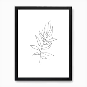 Drawing Of A Leaf Art Print