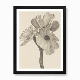 Anemone Vintage Botanical 2 Flower Art Print