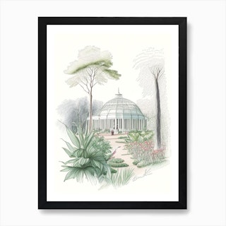 Botanical Art to Cut Out and Collage by Royal Botanical Gardens Kew