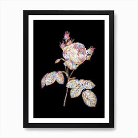 Stained Glass Pink Cabbage Rose Mosaic Botanical Illustration on Black n.0228 Art Print