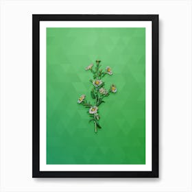 Vintage Glaucous Aster Flower Botanical Art on Classic Green n.0083 Art Print