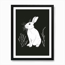 Florida White Rabbit Minimalist Illustration 1 Art Print