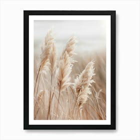 Pampas Grass By The Sea Art Print