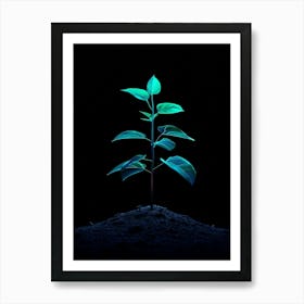 Green Plant On Black Background 7 Art Print