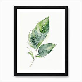 Comfrey Leaf Minimalist Watercolour Art Print