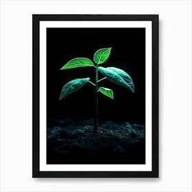 Green Plant Growing In The Dark 1 Art Print