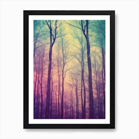 Bare Trees In The Forest Art Print