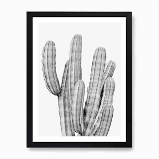 Boho Cactus Art Print