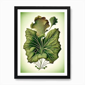 Primrose Leaf Vintage Botanical 2 Art Print