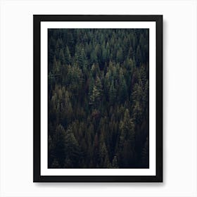 Dark Forest Wall Decor 1 Art Print